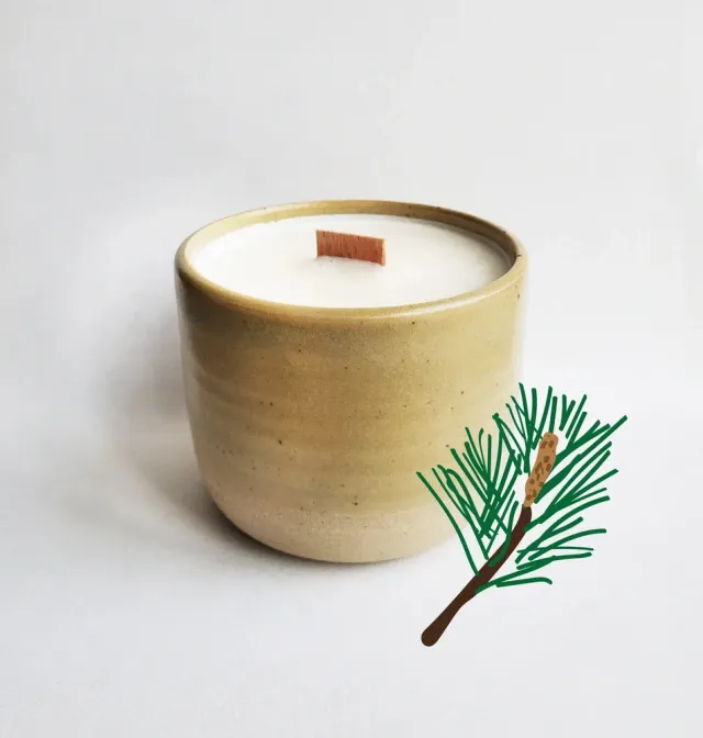 Tribu Indigo Pin Sylvestre bougie parfumée 30h mèche bois