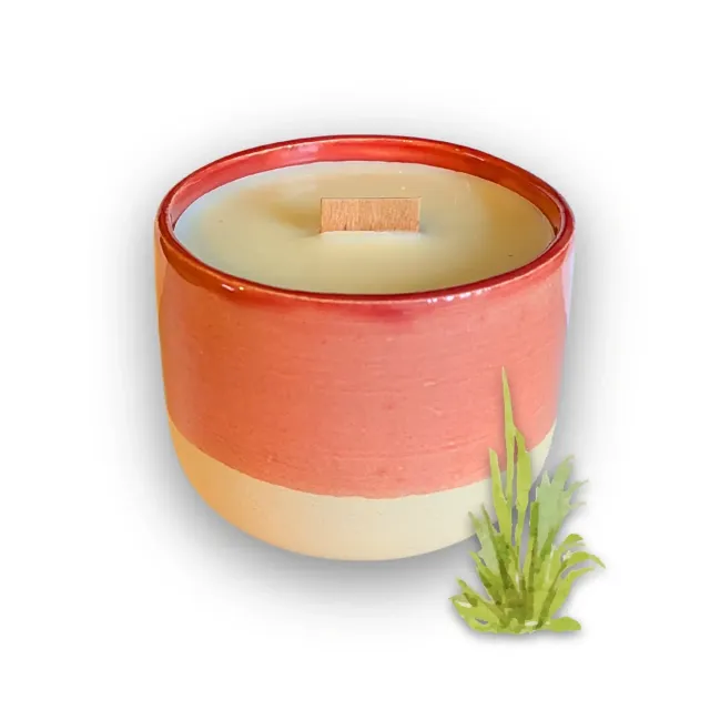Tribu Indigo bougie palmarosa 40h mèche bois cire soja
